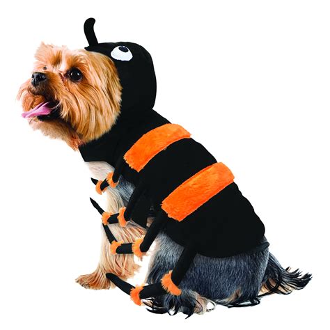 dog spider halloween outfit|small dog spider costume.